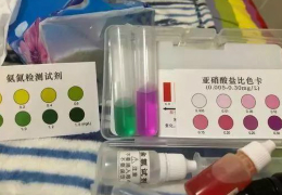 警惕！螃蟹突然不吃料，趴邊上草甚至蛻殼不遂？請(qǐng)留意氨氮、亞硝酸鹽含量！